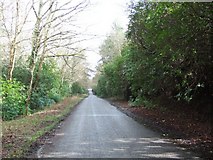 SU2417 : Lyburn Road by Martyn Davies