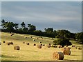 The rolling hayfield