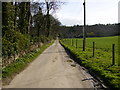 Track going south east of Hovingham Lodge