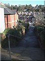 Steps and path in Chelston