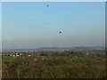 Air balloons over Worcestershire countryside