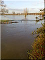 Looking towards Islip, the backwater runs into the river Nene