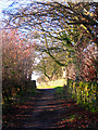 Path from High Lane to Mosborough.