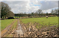 Farmland and newish barn off Park Lane, nr Ropley