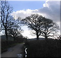 Bluntshay Lane looking south