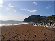 SY4191 : The beach west of Seatown towards Golden Cap by Stephen Williams