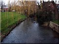 The Road Bridge, Romanby