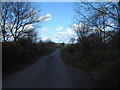 A Quiet Country Lane