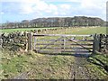 Gate and wood