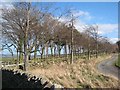 Driveway to Hall Hill Farm