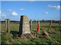 NZ2175 : Brenkley Hill Trig Pillar by michael ely