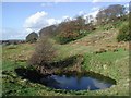 Cripple Croft Plantation, Denholme