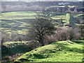 Denholme Beck