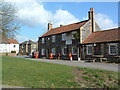 Three Lions Outside Your Pub