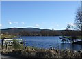 Fishpond at Mill of Strachan