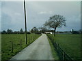 Stublach Farm, off  Byley Lane, near Shakerley Mere.