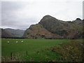 Craig yr Aderyn from Gesail ditch.