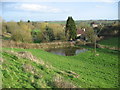 Flooded meadow at Shoscombe