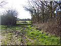 Bridleway near Summerleaze Farm, Kinghay