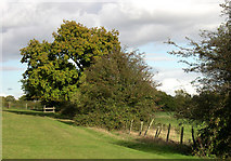 SO9095 : Public Footpath, Colton Hills near Wolverhampton by Roger  Kidd