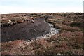 SK1598 : Peat hag, Harden Moor by Dave Dunford