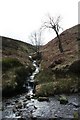 SK1496 : Upper Small Clough by Dave Dunford