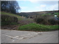 Junction of single track roads, with cow field