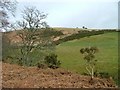 Pasture and Moorland