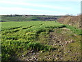 Field near Kale House Farm