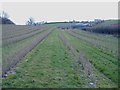 Parkgate fruit farm