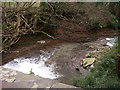 Afon Gafenni from Ross Road