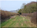 Bridleway Descending to Shrewton