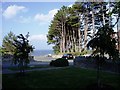 Llannerch Road - Trees and sea