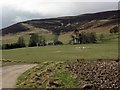 Looking across to Wester Pearsie