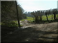 Bridleway South from Grub Wood.