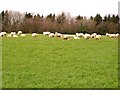 Farmland, Vale of Glamorgan