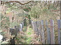 The descending path with contrasting fencing styles