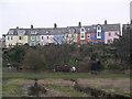 Houses overlooking the harbour