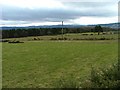 Fields at Drynie Park