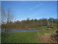 Fishermen on an artificial lake surrounded by attractive woodland