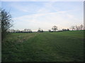 Path through fields south of Broadley Common