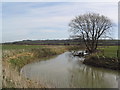 SP8893 : River Welland by Tim Heaton