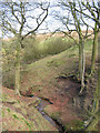 Stream valley near Boarsgrove