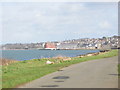 The Menai Strait shore south of Caernarfon