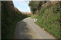 Sunken Lane near Wayland