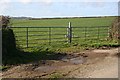 A Modern Field Gate