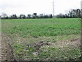 View across farmland near Hill House Farm