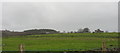 View over farmland towards Garth Fach Farm