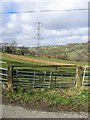 Field Gate and Pylon near Bryneglwys