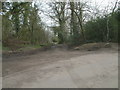 Bridleway at Reigate Hill